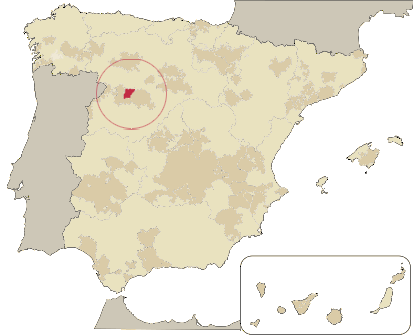 MAPA-TORO https://www.vibiwines.com/wp-content/uploads/2020/05/MAPA-TORO.png