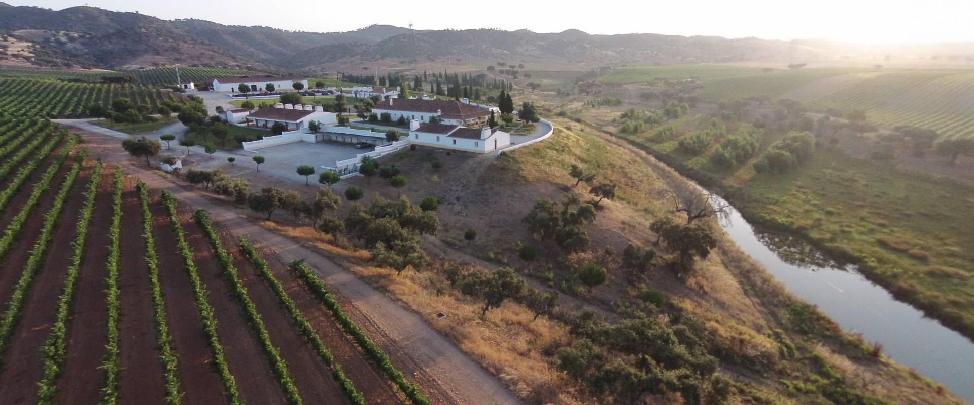 alentejo3 https://www.vibiwines.com/wp-content/uploads/2020/05/alentejo3.jpg