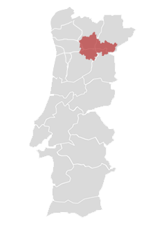 https://www.vibiwines.com/wp-content/uploads/2020/05/mapa-douro.png
