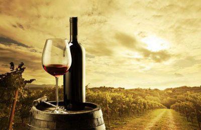 https://www.vibiwines.com/wp-content/uploads/2020/05/vinos-from-portugal.jpg